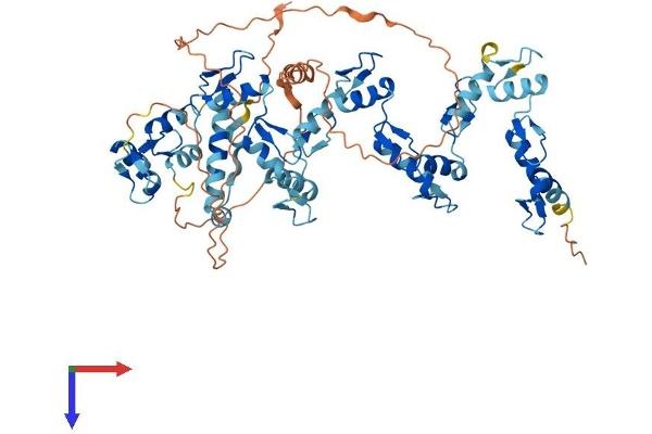 ZNF169 Protein (AA 1-603) (His tag)