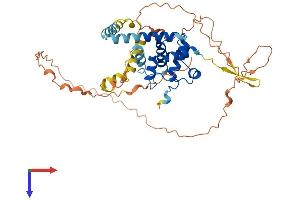 AlphaFold protein structure predicition of Human Recombinant SPDYE2B Protein, UniprotID A6NHP3