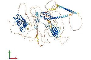 Protein Structure (PS) image for Chromosome 11open Reading Frame 9 (C11orf9) (AA 1-1138) protein (His tag) (ABIN7563745)