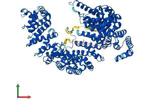 Protein Structure (PS) image for Transportin 2 (TNPO2) (AA 1-887) protein (His tag) (ABIN7564893)