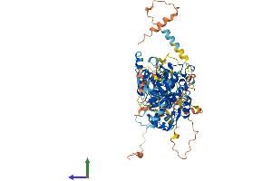 Protein Structure (PS) image for Myotubularin Related Protein 11 (MTMR11) (AA 1-709) protein (His tag) (ABIN7549534)