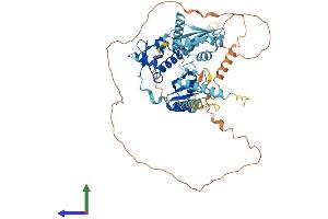 Protein Structure (PS) image for La Ribonucleoprotein Domain Family, Member 7 (LARP7) (AA 1-570) protein (His tag) (ABIN7556901)