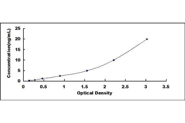 CST5 ELISA Kit