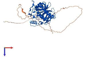 CSNK1G1 Protein (AA 1-459) (His tag)