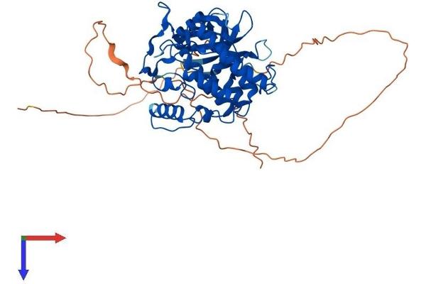 CSNK1G1 Protein (AA 1-459) (His tag)