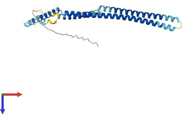 CENPH Protein (AA 1-247) (His tag)