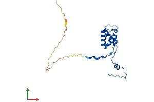 AlphaFold protein structure predicition of Human Recombinant MRPL50 Protein, UniprotID Q8N5N7