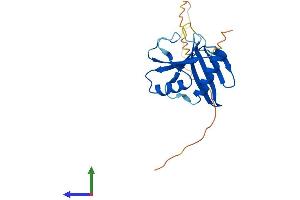 Protein Structure (PS) image for Ornithine Decarboxylase Antizyme 2 (OAZ2) (AA 1-189) protein (His tag) (ABIN7562179)