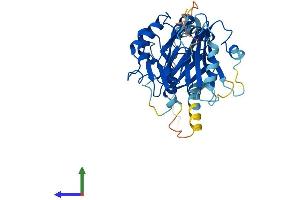 FBXO22 Protein (AA 1-402) (His tag)