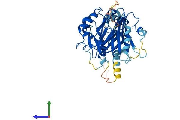 FBXO22 Protein (AA 1-402) (His tag)
