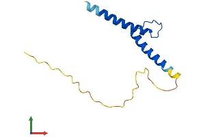 Protein Structure (PS) image for T-Cell Acute Lymphocytic Leukemia 2 (TAL2) (AA 1-108) protein (His tag) (ABIN7557781)
