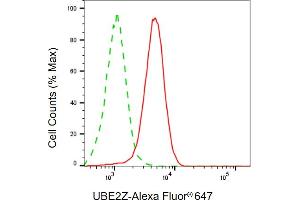 Flow cytometric analysis of UBE2Z expression in HepG2 cells using UBE2Z antibody (ABIN7800754), 1:1,000).
