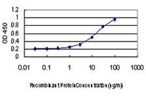 Detection limit for recombinant GST tagged AKAP8 is approximately 0.