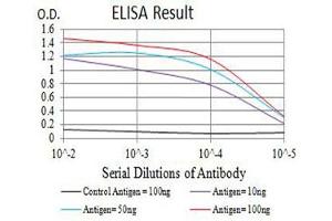 Black line: Control Antigen (100 ng),Purple line: Antigen (10 ng), Blue line: Antigen (50 ng), Red line:Antigen (100 ng) (PAR1 Antikörper  (AA 42-176))