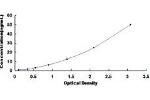 Typical standard curve (SGCD ELISA Kit)