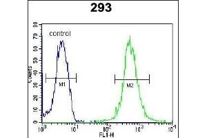 WDR48 Antibody (C-term) (ABIN654462 and ABIN2844195) flow cytometric analysis of 293 cells (right histogram) compared to a negative control cell (left histogram). (WDR48 Antikörper  (C-Term))