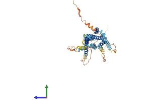 Protein Structure (PS) image for G Protein-Coupled Receptor 61 (GPR61) (AA 1-451) protein (His tag) (ABIN7548062)