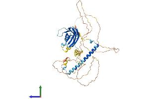 Protein Structure (PS) image for RAB11 Family Interacting Protein 2 (Class I) (RAB11FIP2) (AA 1-512) protein (His tag) (ABIN7555163)
