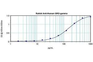 Image no. 4 for anti-Growth Regulated Oncogene gamma (GRO gamma) antibody (ABIN465909) (GRO gamma Antikörper)