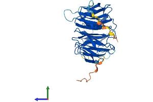 Protein Structure (PS) image for WD Repeat Domain 77 (WDR77) (AA 1-342) protein (His tag) (ABIN7560292)