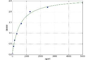 CKLF-Like MARVEL Transmembrane Domain Containing 5 (CMTM5) ELISA Kit