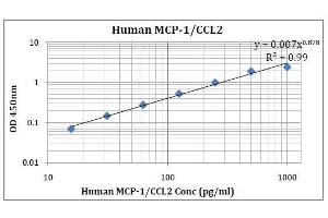 ELISA image for Chemokine (C-C Motif) Ligand 2 (CCL2) ELISA Kit (ABIN5026946)