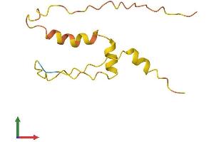 AlphaFold protein structure predicition of Human Recombinant ZNF561-AS1 Protein, UniprotID K7EIQ3 (ZNF561-AS1 (AA 1-104) protein (His tag))
