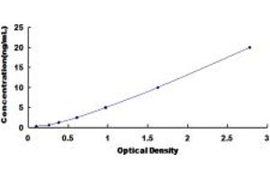 Typical standard curve (USP14 ELISA Kit)