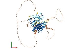 Protein Structure (PS) image for BR serine/threonine Kinase 2 (BRSK2) (AA 1-736) protein (His tag) (ABIN7552885)