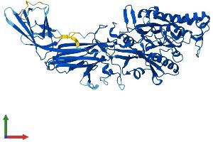 Protein Structure (PS) image for Peptidyl Arginine Deiminase, Type IV (PADI4) (AA 1-666) protein (His tag) (ABIN7565270)