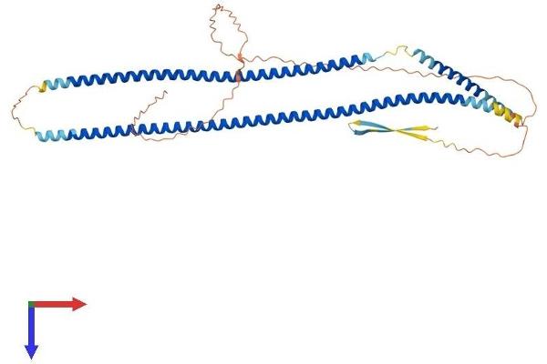KRT14 Protein (AA 1-484) (His tag)