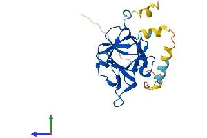 Protein Structure (PS) image for Fibroblast Growth Factor 16 (FGF16) (AA 1-207) protein (His tag) (ABIN7547703)
