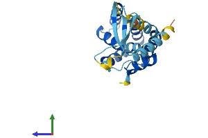 AlphaFold protein structure predicition of Human Recombinant COMMD7 Protein, UniprotID Q86VX2