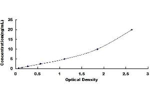 Typical standard curve (HLA-A ELISA Kit)