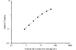 Typical Standard Curve