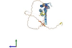 Protein Structure (PS) image for Gap Junction Protein, alpha 3, 46kDa (GJA3) (AA 1-417) protein (His tag) (ABIN7557839)