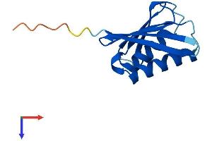 PSMG4 Protein (AA 1-123) (His tag)