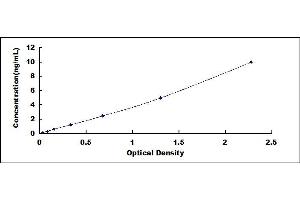 Typical standard curve (CST6 ELISA Kit)