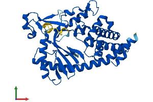 Protein Structure (PS) image for Mab-21-Like 2 (MAB21L2) (AA 1-359) protein (His tag) (ABIN7549200)