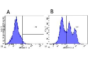 Flow-cytometry using anti-CD52 antibody Campath-1H   Cynomolgus monkey lymphocytes were stained with an isotype control (panel A) or the rabbit-chimeric version of Campath-1H (-23. (Rekombinanter CD52 Antikörper)