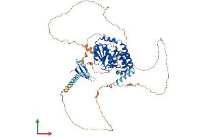 Protein Structure (PS) image for Chromodomain Protein, Y-Like (CDYL) (AA 1-598) protein (His tag) (ABIN7553342)