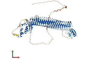 Protein Structure (PS) image for F-Box Protein 11 (FBXO11) (AA 1-927) protein (His tag) (ABIN7553892)