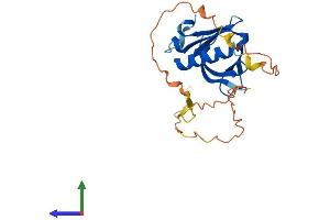 AlphaFold protein structure predicition of Human Recombinant PLEKHB2 Protein, UniprotID Q96CS7