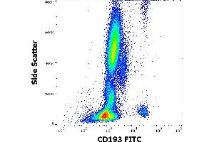 Flow cytometry surface staining pattern of human peripheral whole blood stained using anti-human CD193 (5E8) FITC antibody (4 μL reagent / 100 μL of peripheral whole blood). (CCR3 Antikörper  (FITC))