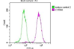 Overlay histogram showing Hela cells stained with ABIN7127352 (red line) at 1:50. (Rekombinanter ACLY Antikörper)