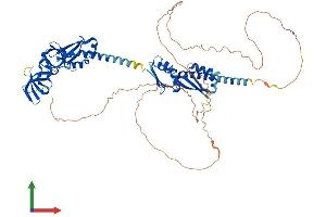 Protein Structure (PS) image for Fragile X Mental Retardation 1 (FMR1) (AA 1-632) protein (His tag) (ABIN7553950)