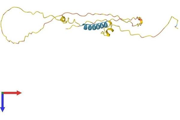 TCEAL5 Protein (AA 1-200) (His tag)