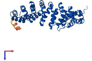 RTDR1 Protein (AA 1-348) (His tag)
