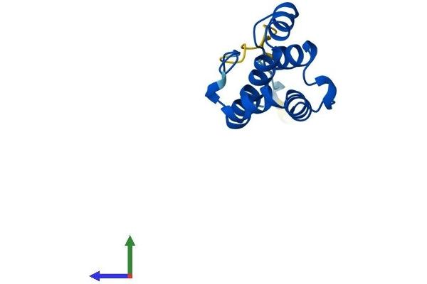 PLAC8 Protein (AA 1-115) (His tag)