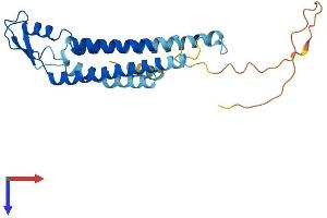 GJB4 Protein (AA 1-266) (His tag)